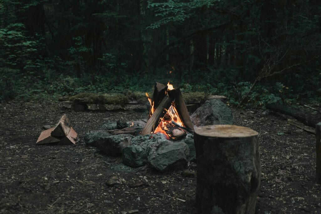 Bonfire in the forest.