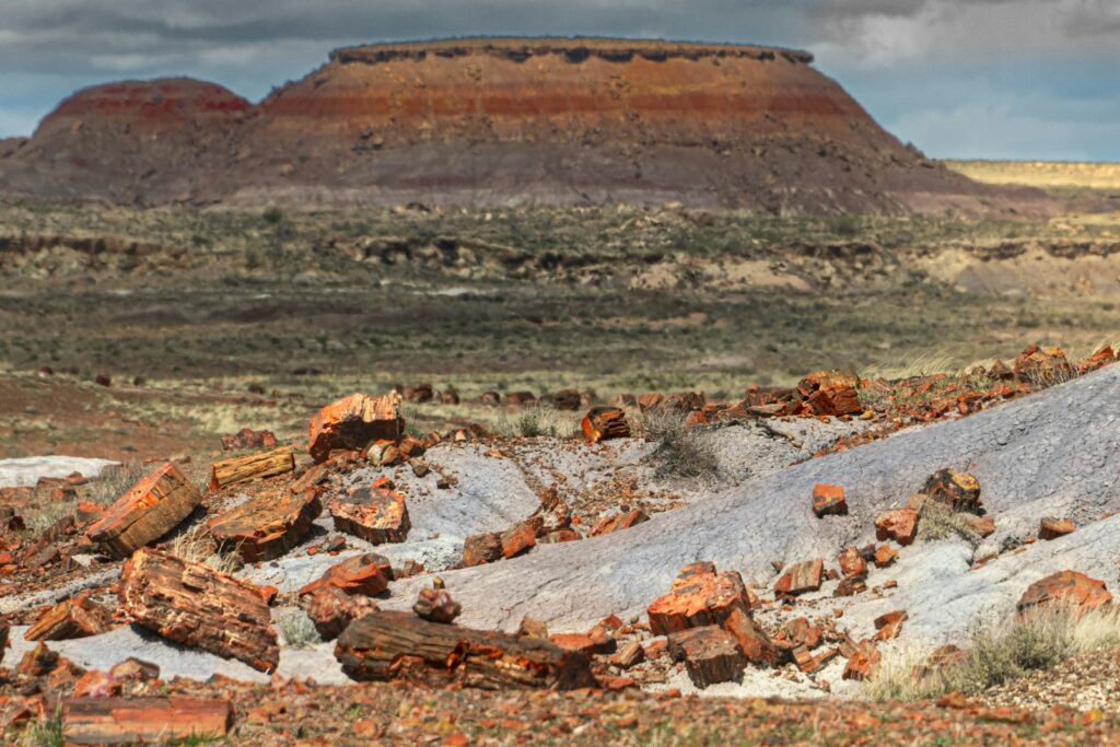 a large pile of rocks sitting in the middle of a desert