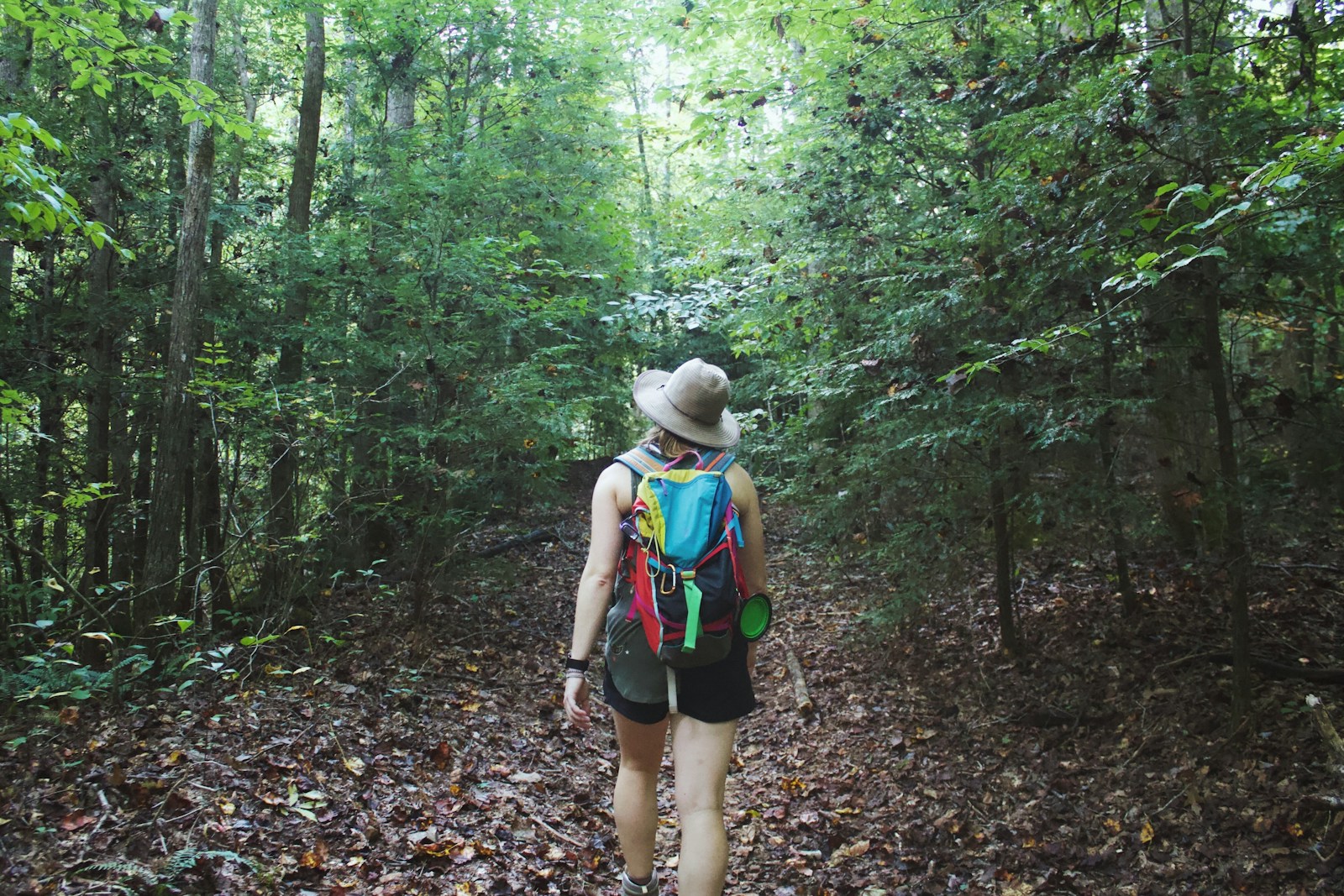Person walking towards trees during daytime.