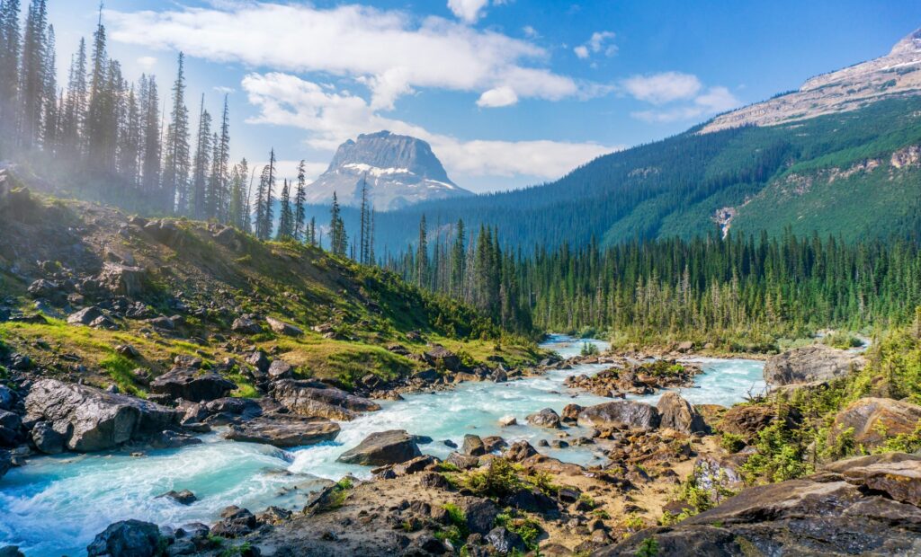 A serene river flows through a lush mountain valley, surrounded by vibrant trees and rugged rocks.