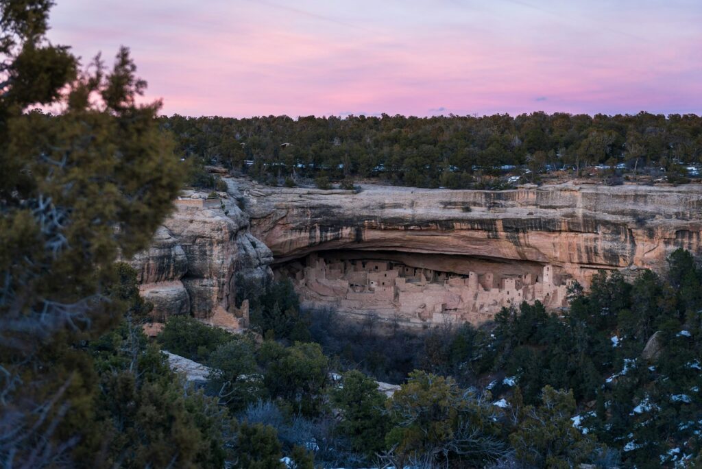 A view of a canyon with trees in the foreground