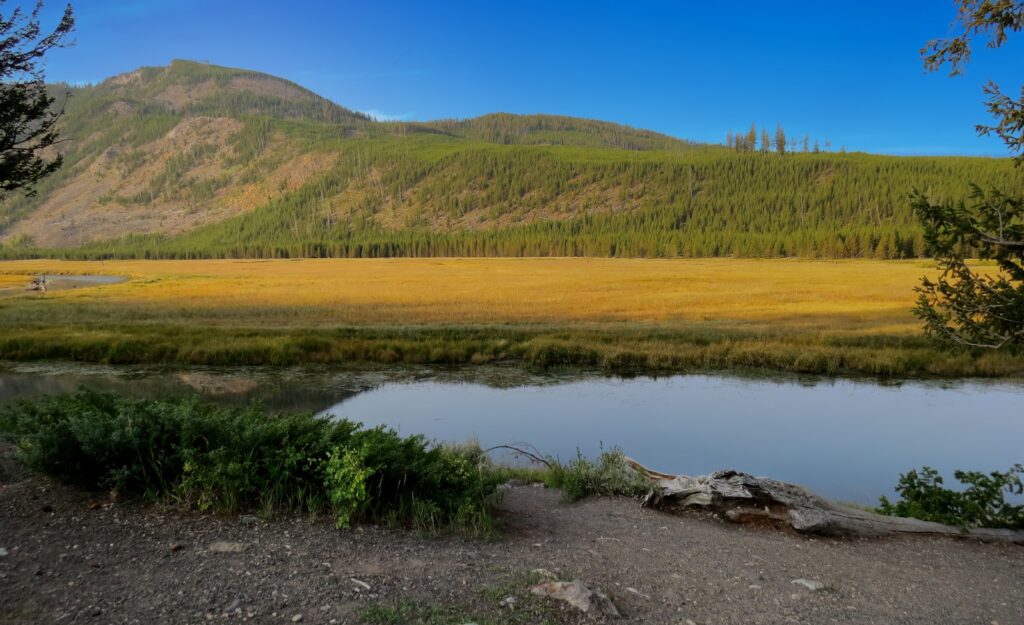 green grass field near lake during daytime