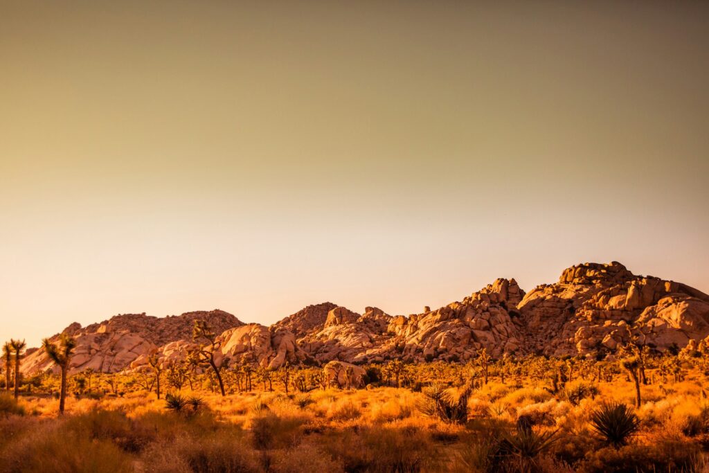 Mountain at golden hour