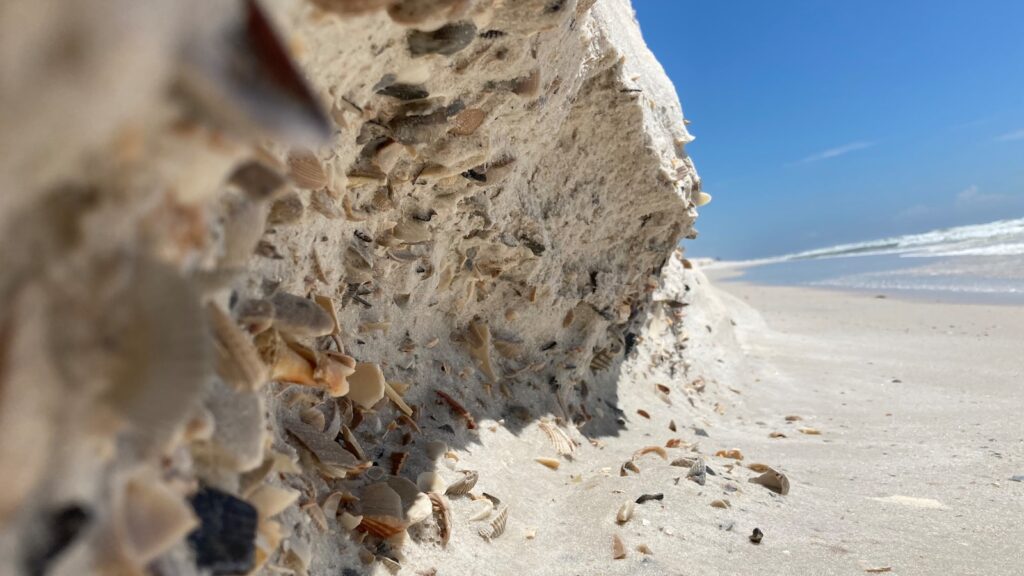white sand near body of water during daytime