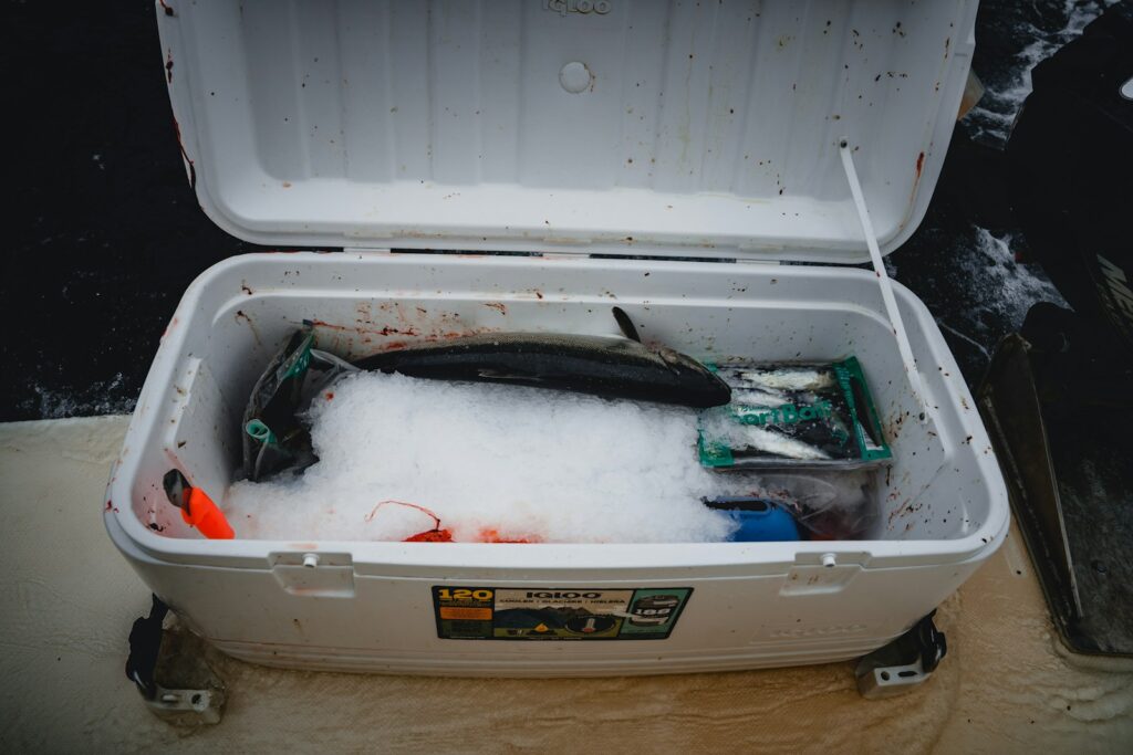 raw fishes in a white chest box
