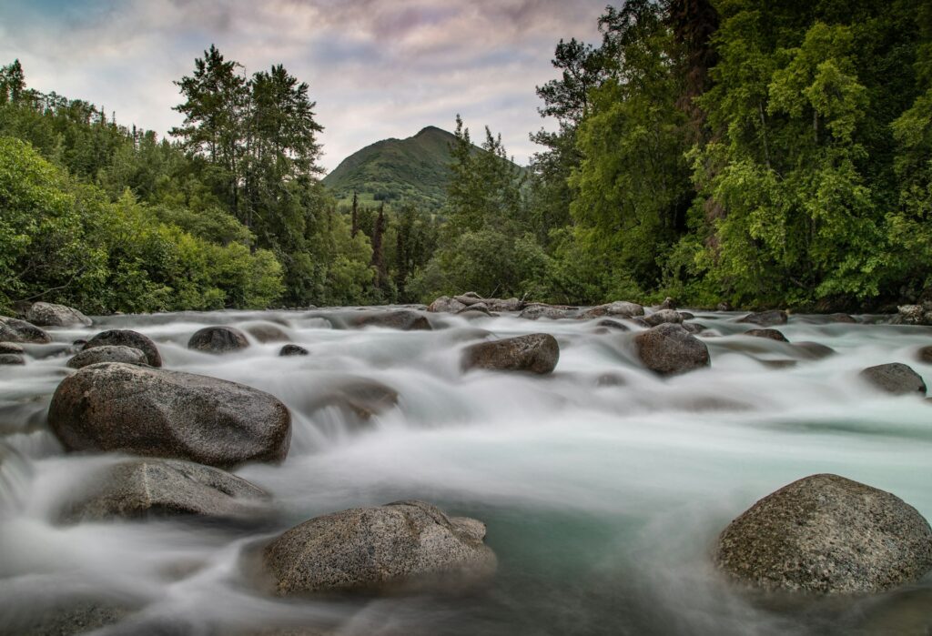 A serene river winds through a lush forest, surrounded by rocks and tall trees, creating a peaceful natural scene.