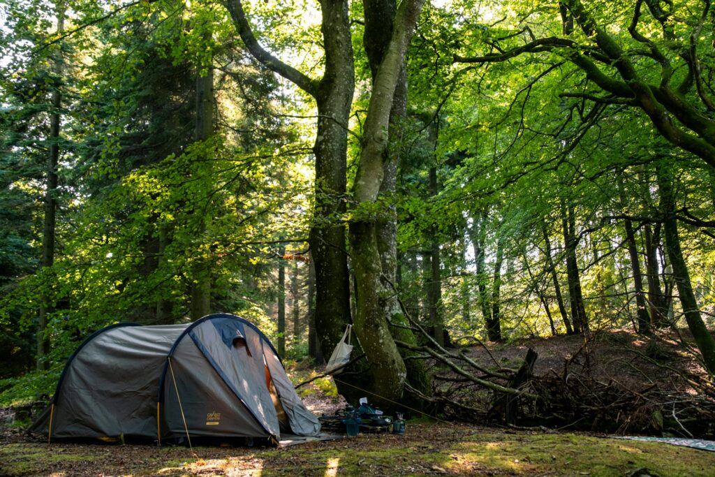 A cozy tent nestled among tall trees in a serene forest setting, inviting adventure and relaxation in nature.