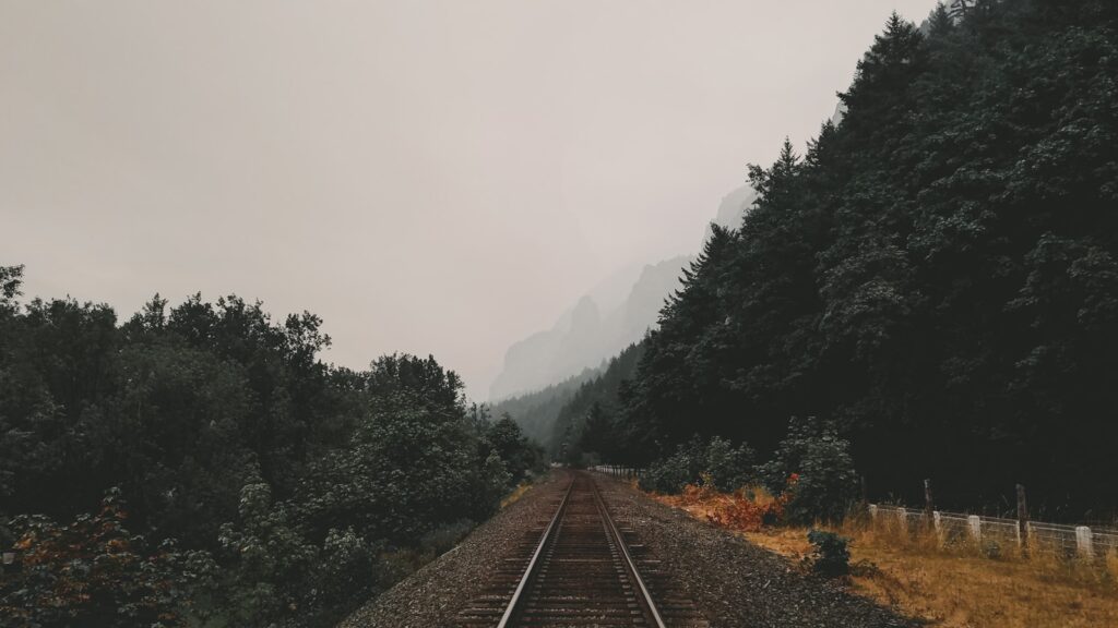 train rails between green trees under cloudy sky