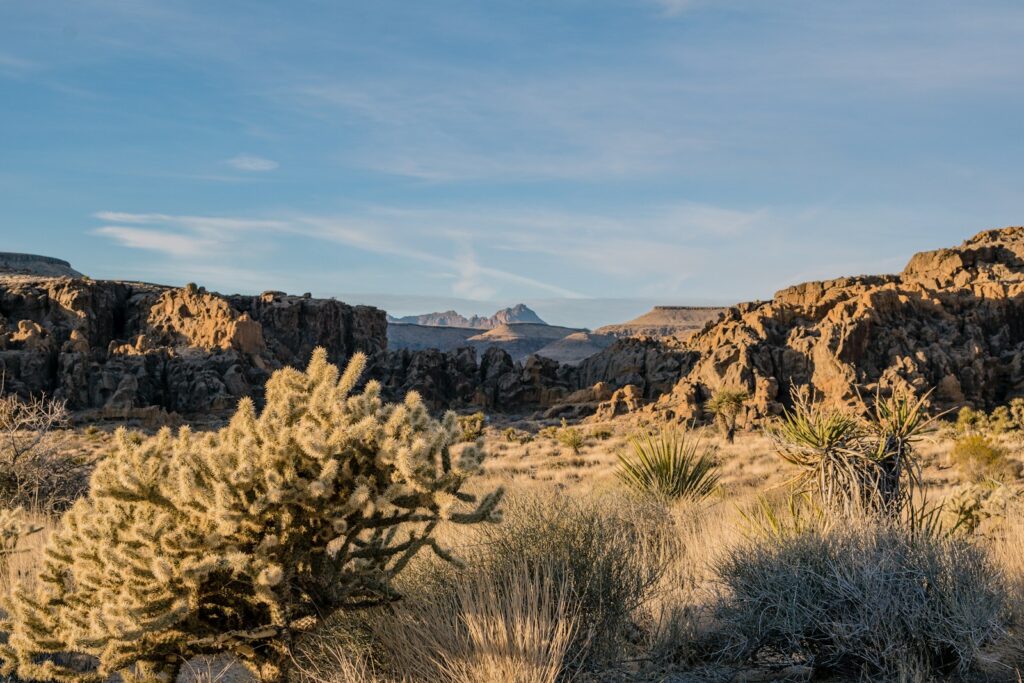 Photo of mountain near trees