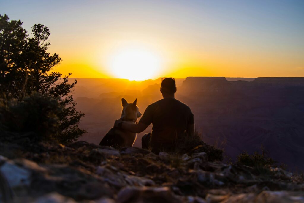 a man and his dog sitting on a cliff at sunset