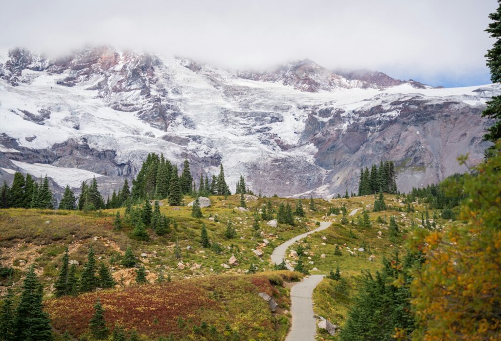 A mountain covered in snow and surrounded by trees