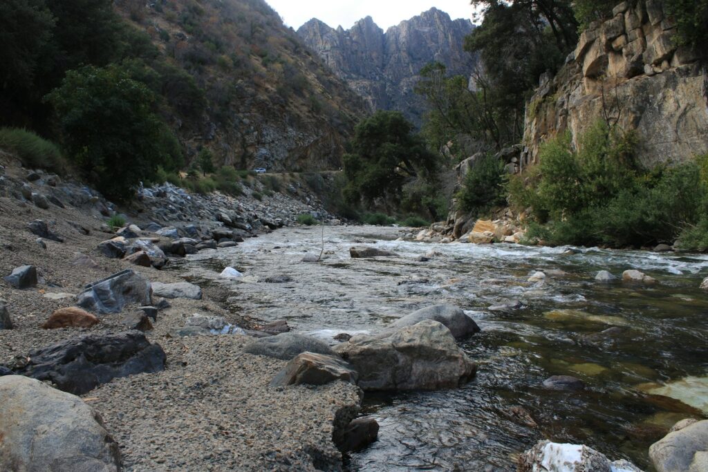 rocky river between green trees and brown mountains during daytime