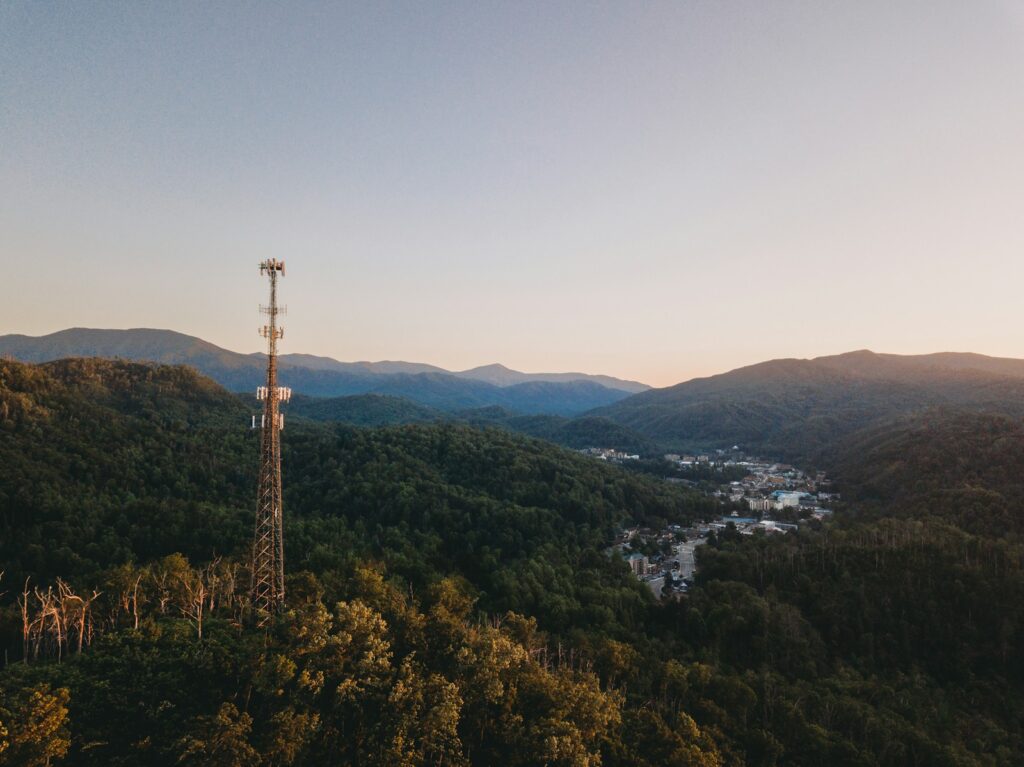 a tall tower in the middle of a forest