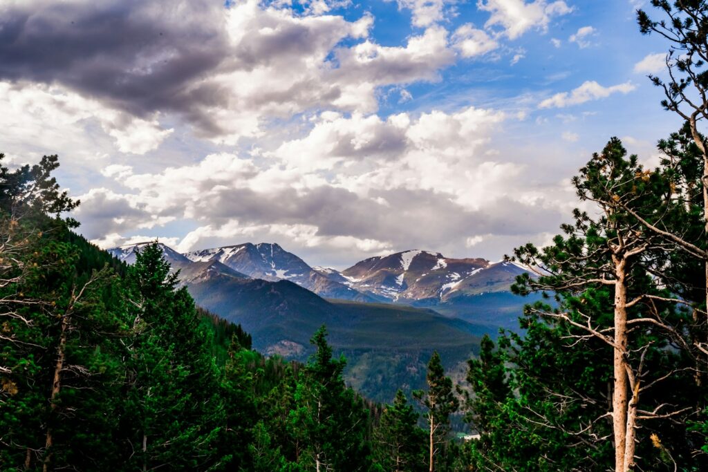Green trees near snow covered mountains under cloudy sky during daytime