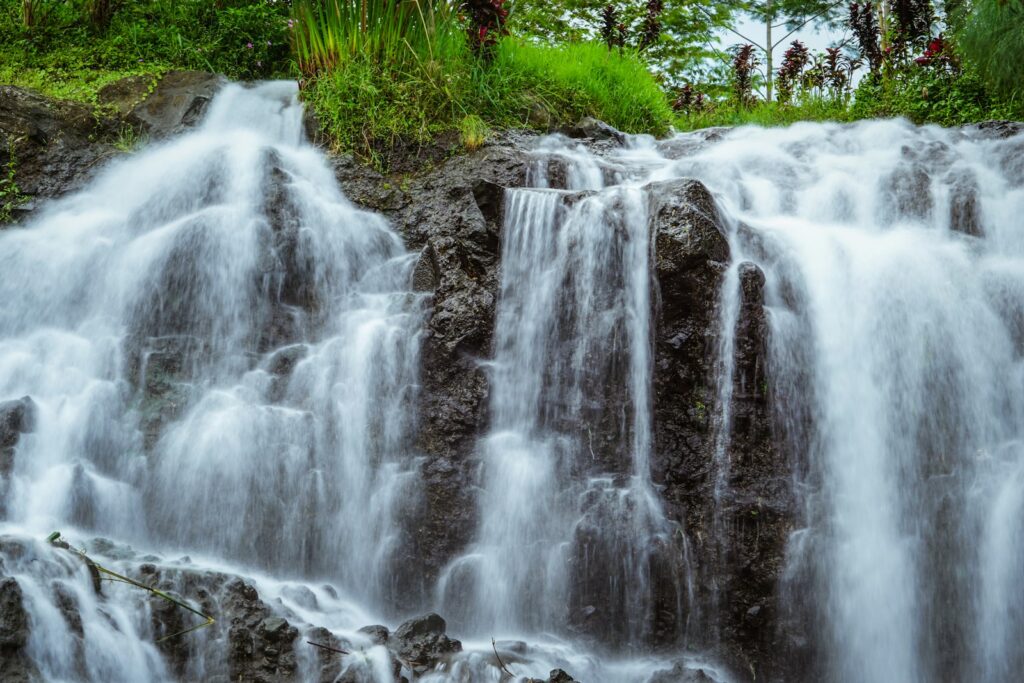water falls in the forest