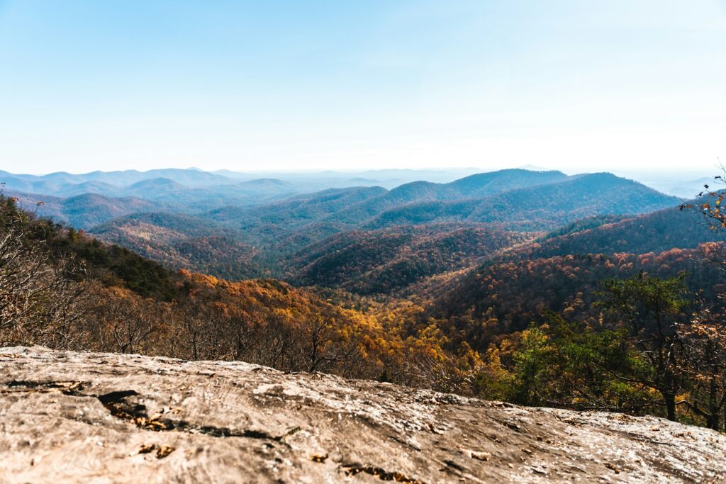View of terrain