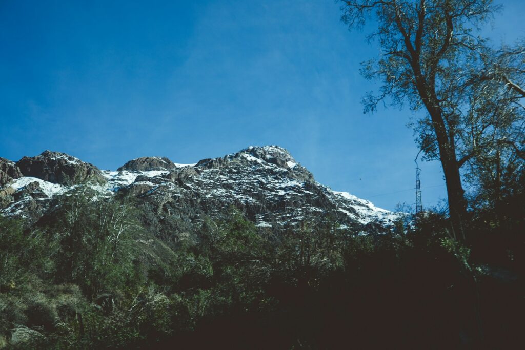 Snow-capped mountain rises above a dense forest of evergreen trees, showcasing a serene winter landscape.
