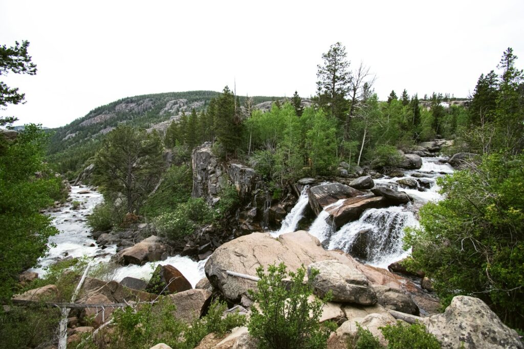 green trees on brown rocky mountain during daytime