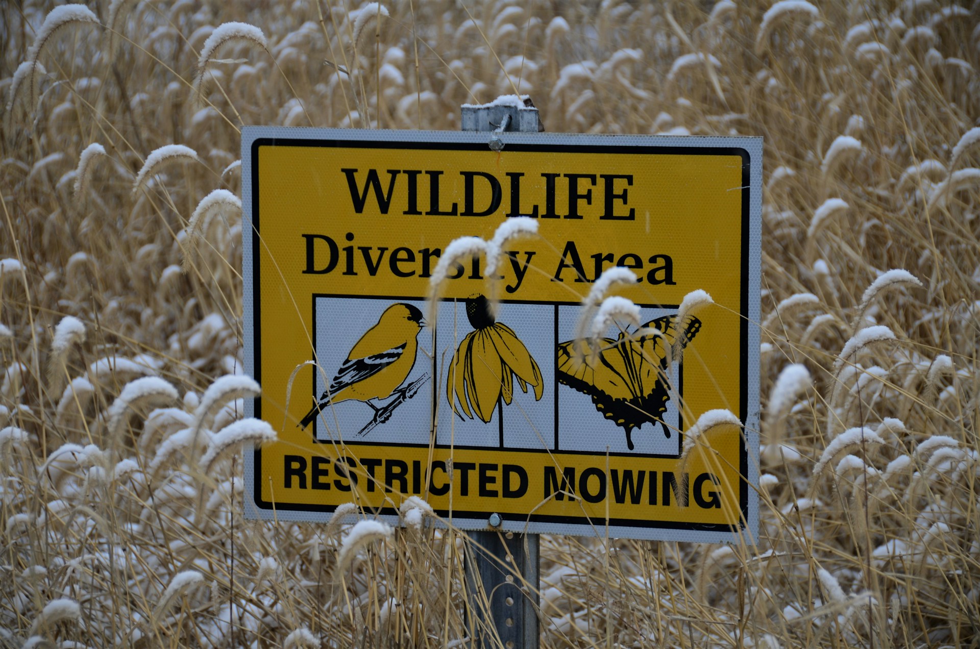 A sign reading "wildlife diversity area restricted mowing," emphasizing the importance of preserving local ecosystems.