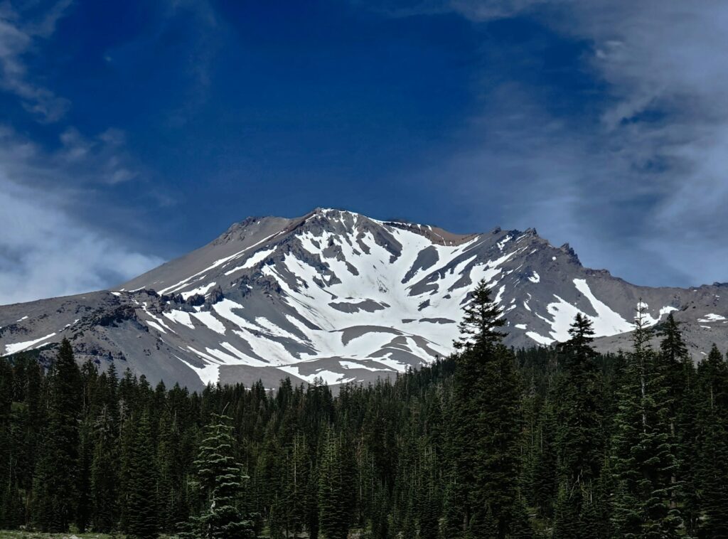 a snow covered mountain surrounded by pine trees
