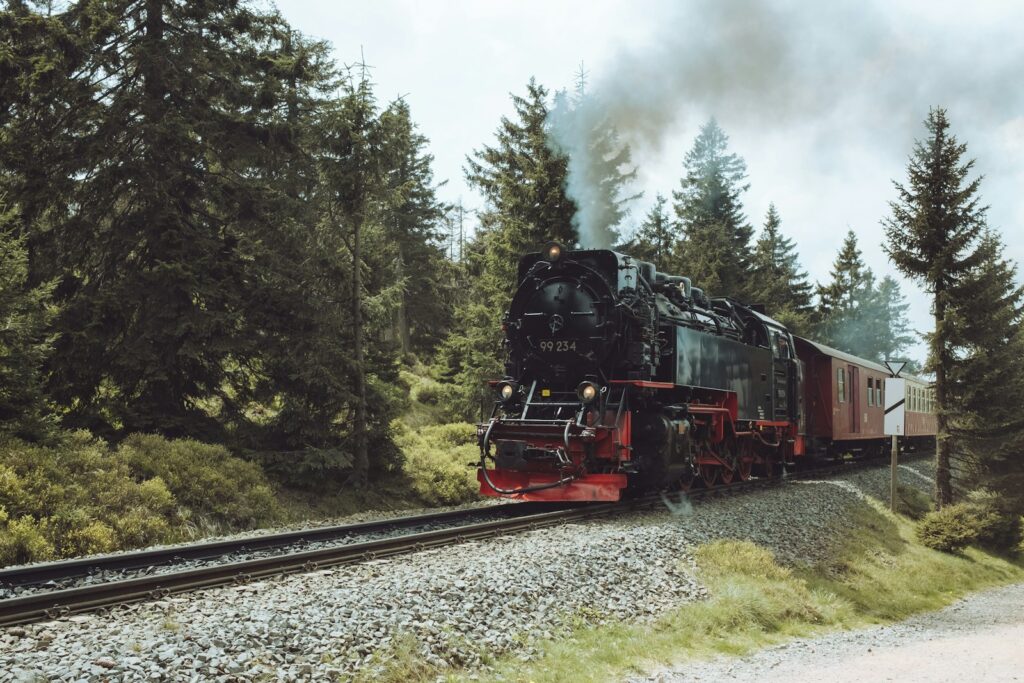 a train traveling through a lush green forest