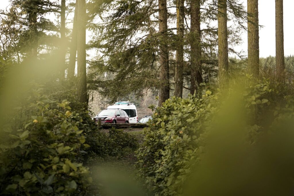 vehicle parked in forest