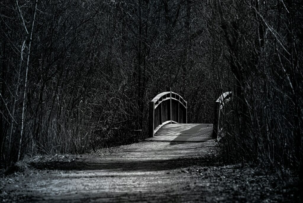 grayscale photo of wooden bridge