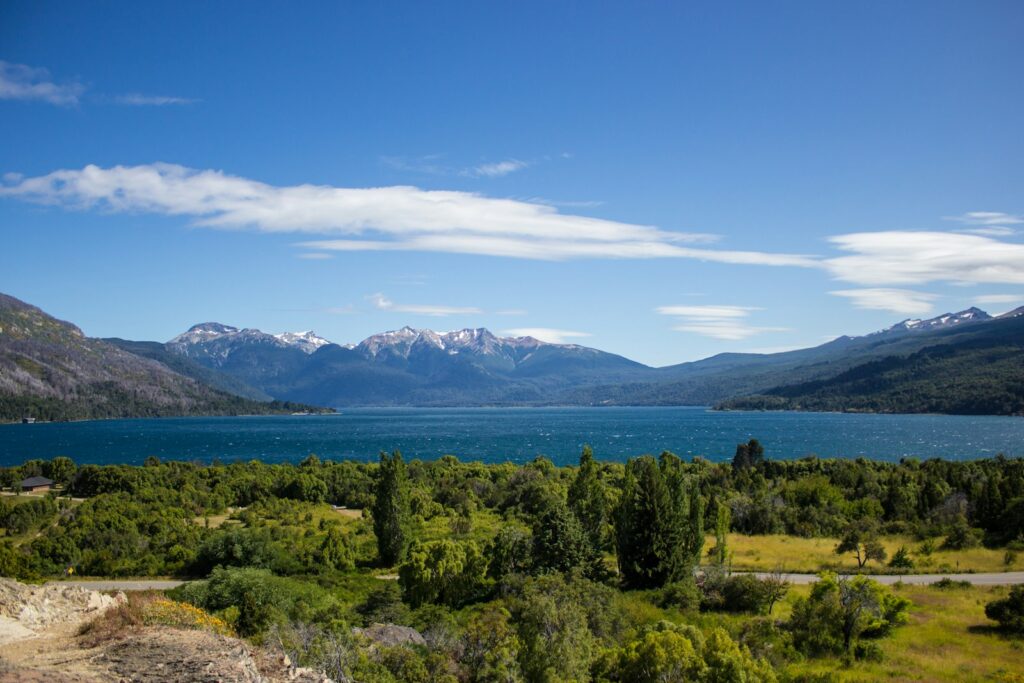 green trees near body of water under blue sky during daytime