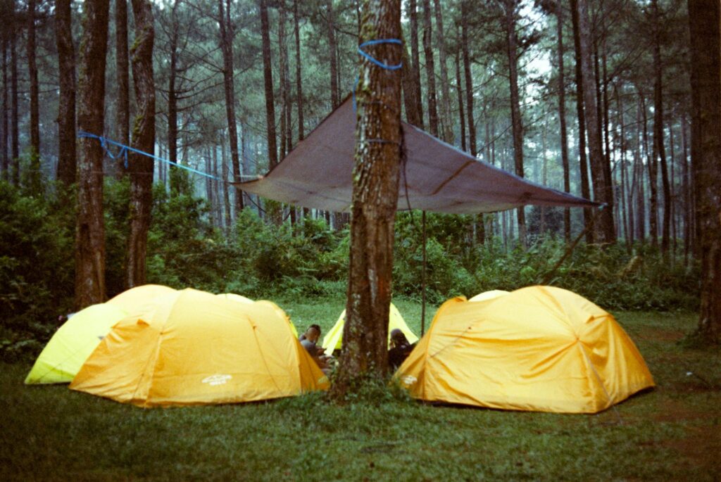 Vibrant tents set up in a lush green forest, surrounded by towering trees, perfect for a camping getaway.