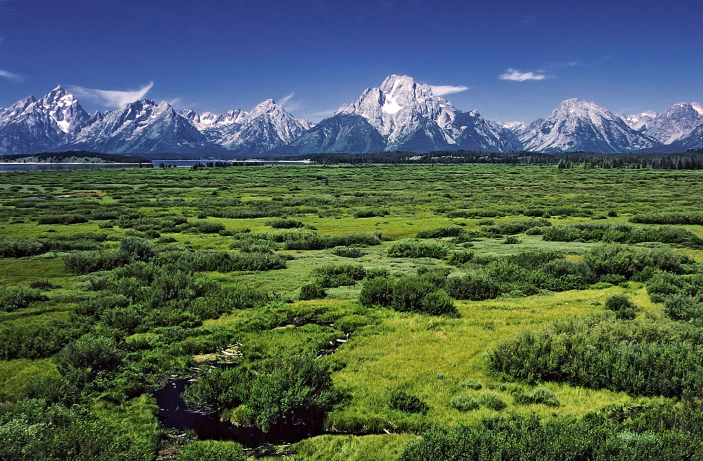Willow Flats area to the Teton Range with the Mount Moran and his Skillet Glacier (12605 ft) in the middle.