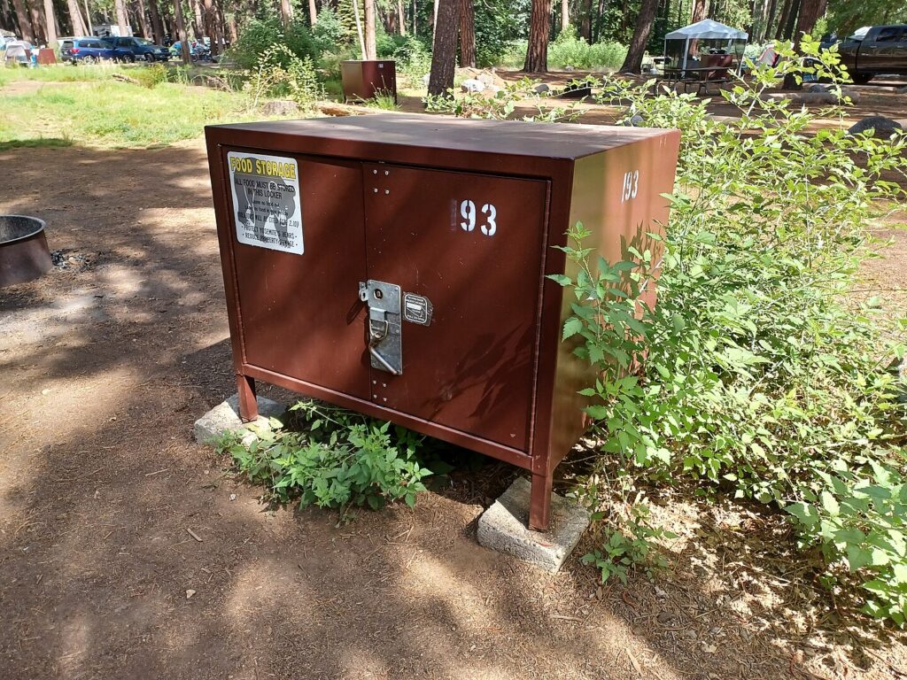Bear-resistant food storage container in Upper Pines Campground, Yosemite National Park, California, United States.