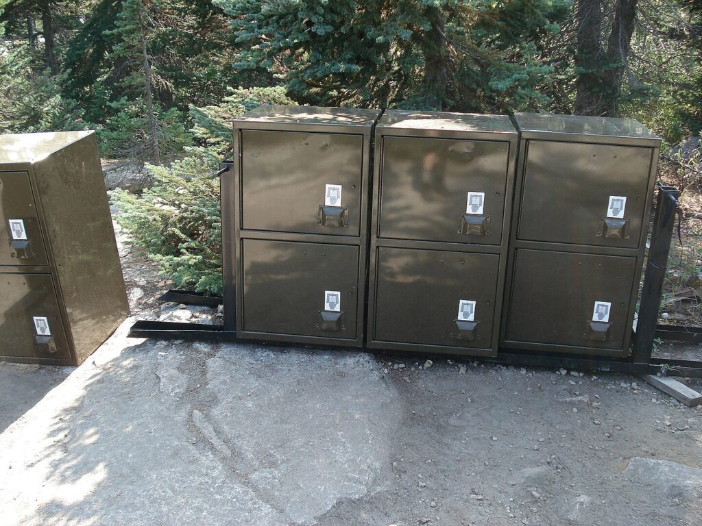 Bear boxes