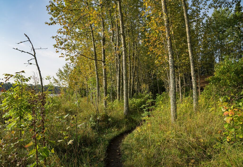 Departing Daisy Farm Campground the morning of September 18, 2019, on my way up to the Greenstone Ridge, at Isle Royale National Park.