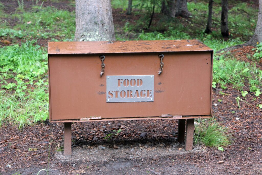 Bear-proof food storage box