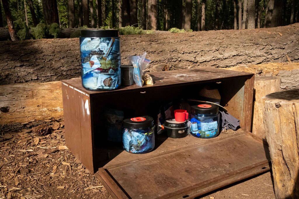 This is an open metal food storage container in Yosemite National Park with portable containers manufactured by BearVault on top and inside the container.