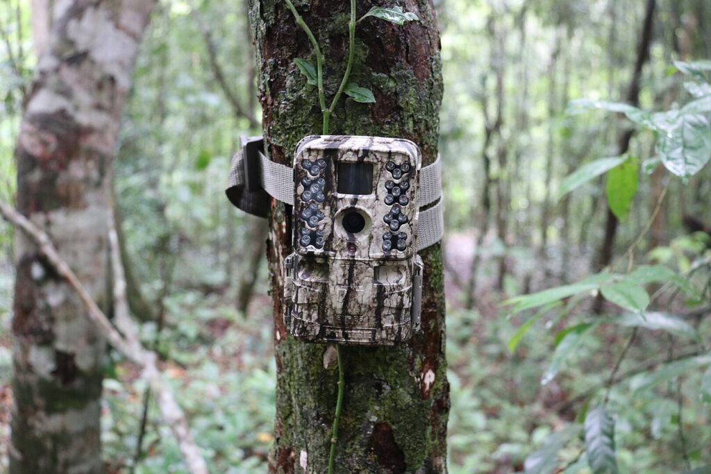 Camera Trap installation