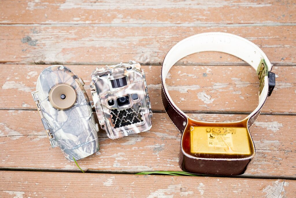The Kodiak bear/salmon research crew use a variety of innovative technology to remotely monitor wildlife animals movement