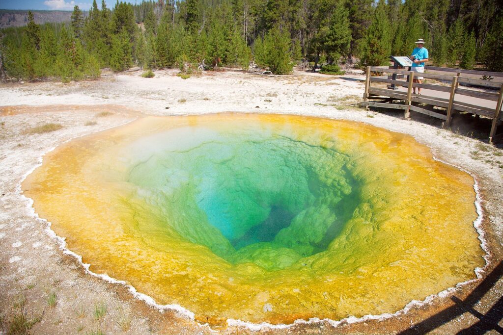 Morning Glory Pool in Yellowstone National Park