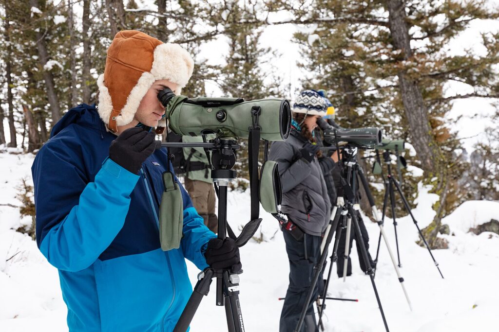 A man in a hat and coat peers through binoculars, focused on a distant view in a scenic outdoor setting.