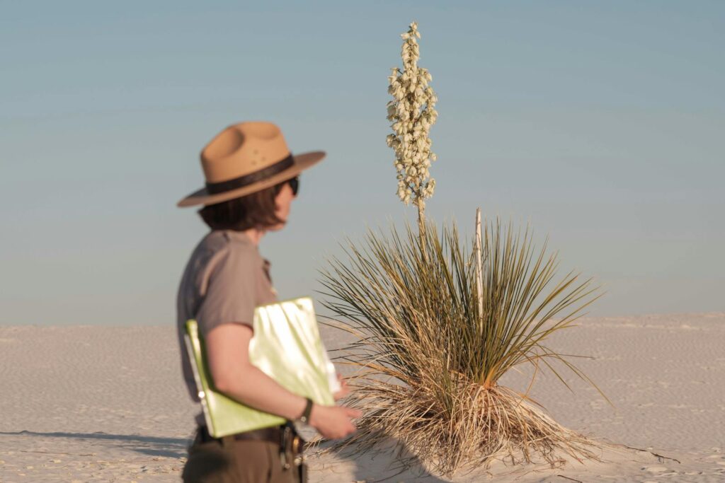 A woman with a hat stands in White Sands, NM, viewing a blooming yucca plant in the desert.