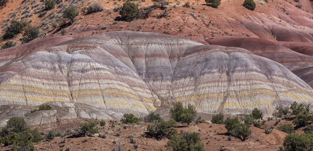 Before highways and railways, before pioneers....the land we know as the United States was truly a vast wilderness.
