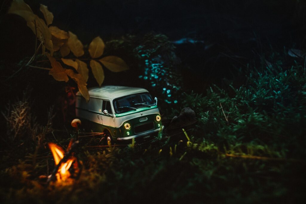 white vehicle passing road near trees at night time