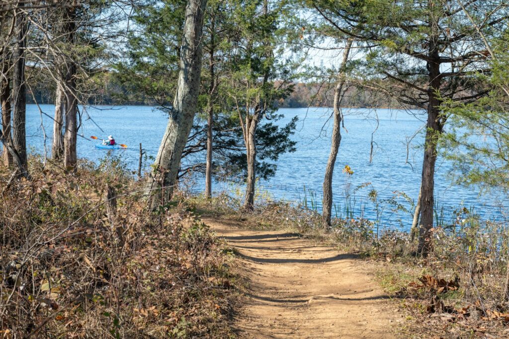 A dirt path leading to a lake surrounded by trees.