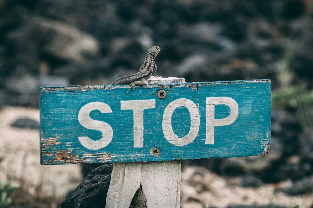 Selective focus photography of stop road sign.