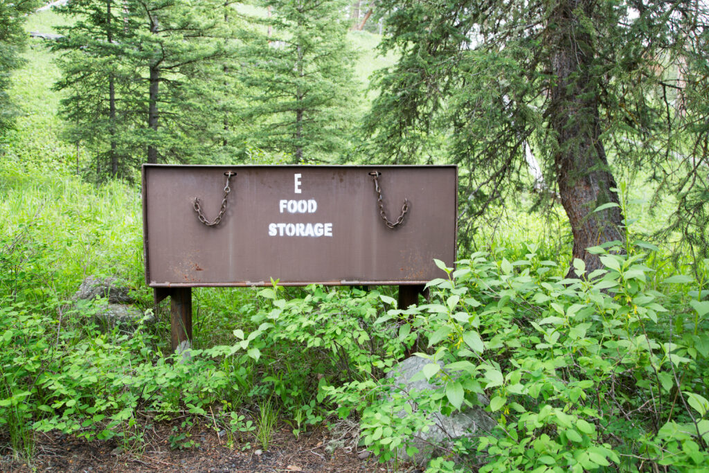 Pebble Creek Campground bear-proof food storage box