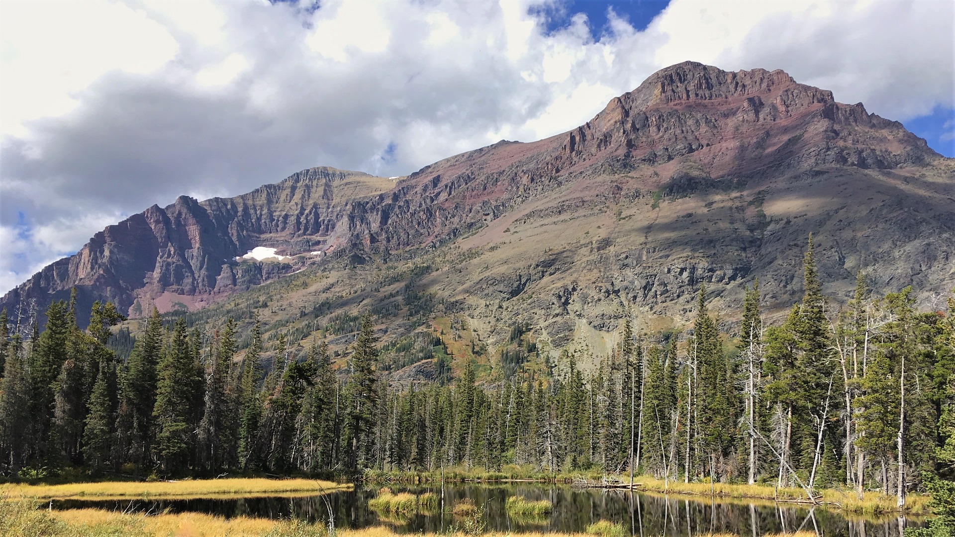 A breathtaking mountain overlooks a peaceful lake, with trees in the foreground, highlighting the beauty of Glacier National Park.