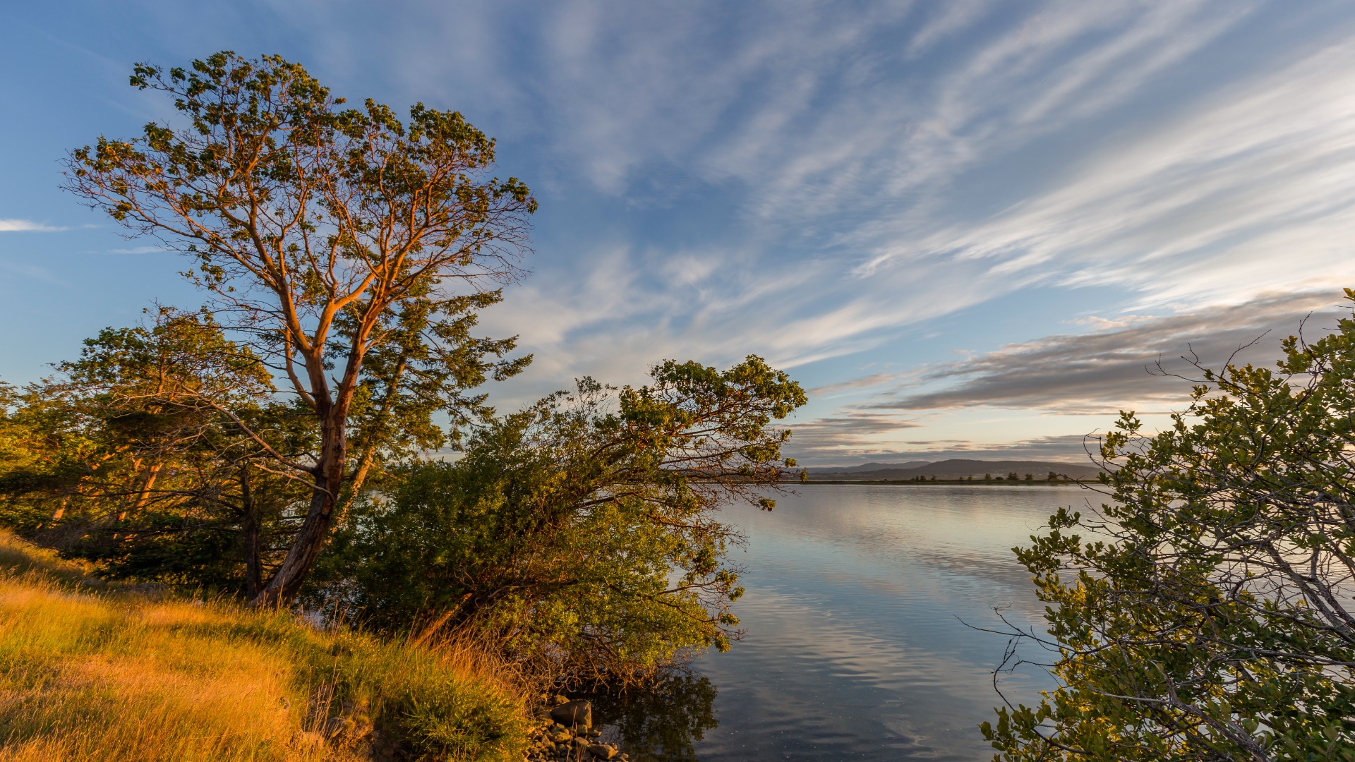 A serene lake surrounded by lush trees and green grass along the shore, reflecting the calmness of nature.