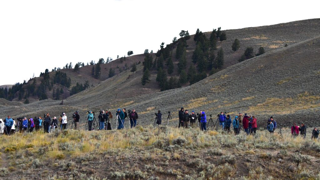 Visitors gather on a hill, enjoying panoramic views of Yellowstone National Park's breathtaking scenery.