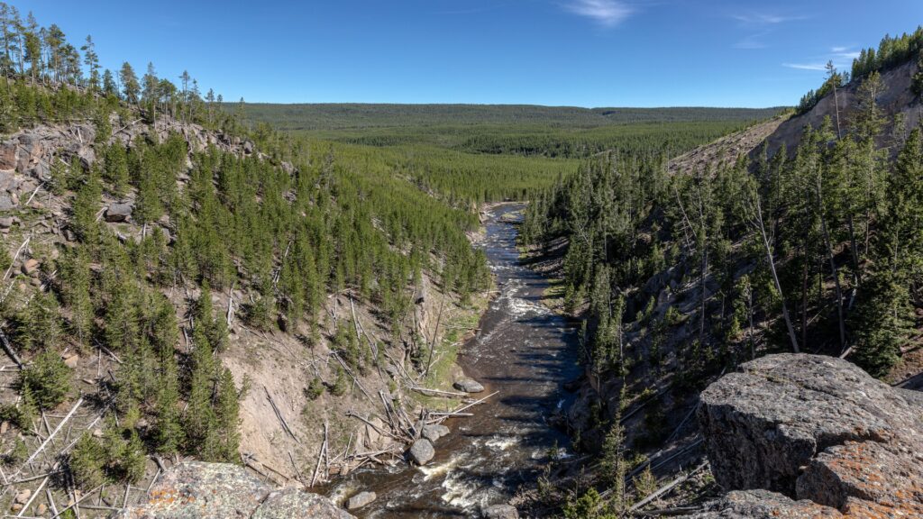 A serene river meanders through a canyon, bordered by vibrant trees, highlighting the stunning landscape of Yellowstone National Park.