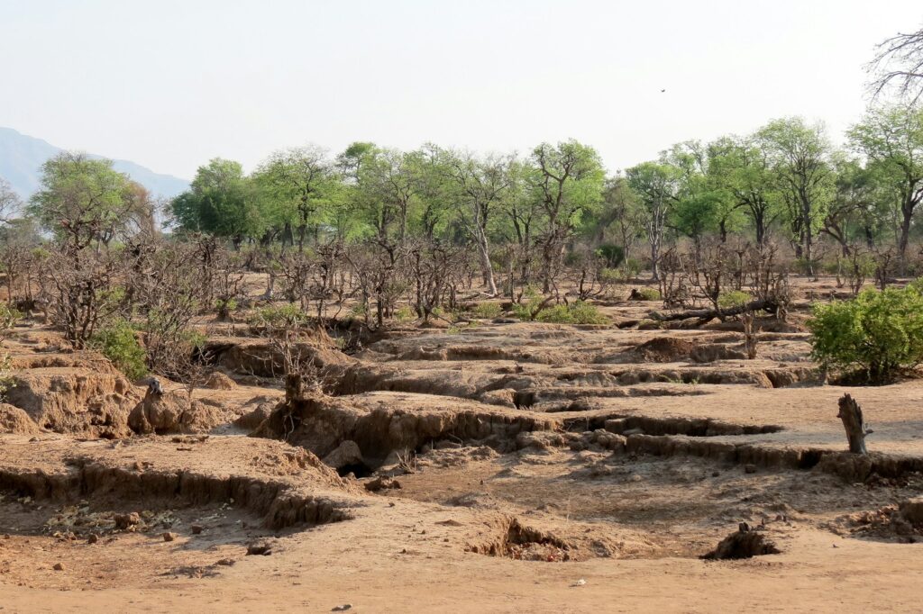 a man standing in the middle of a dirt field
